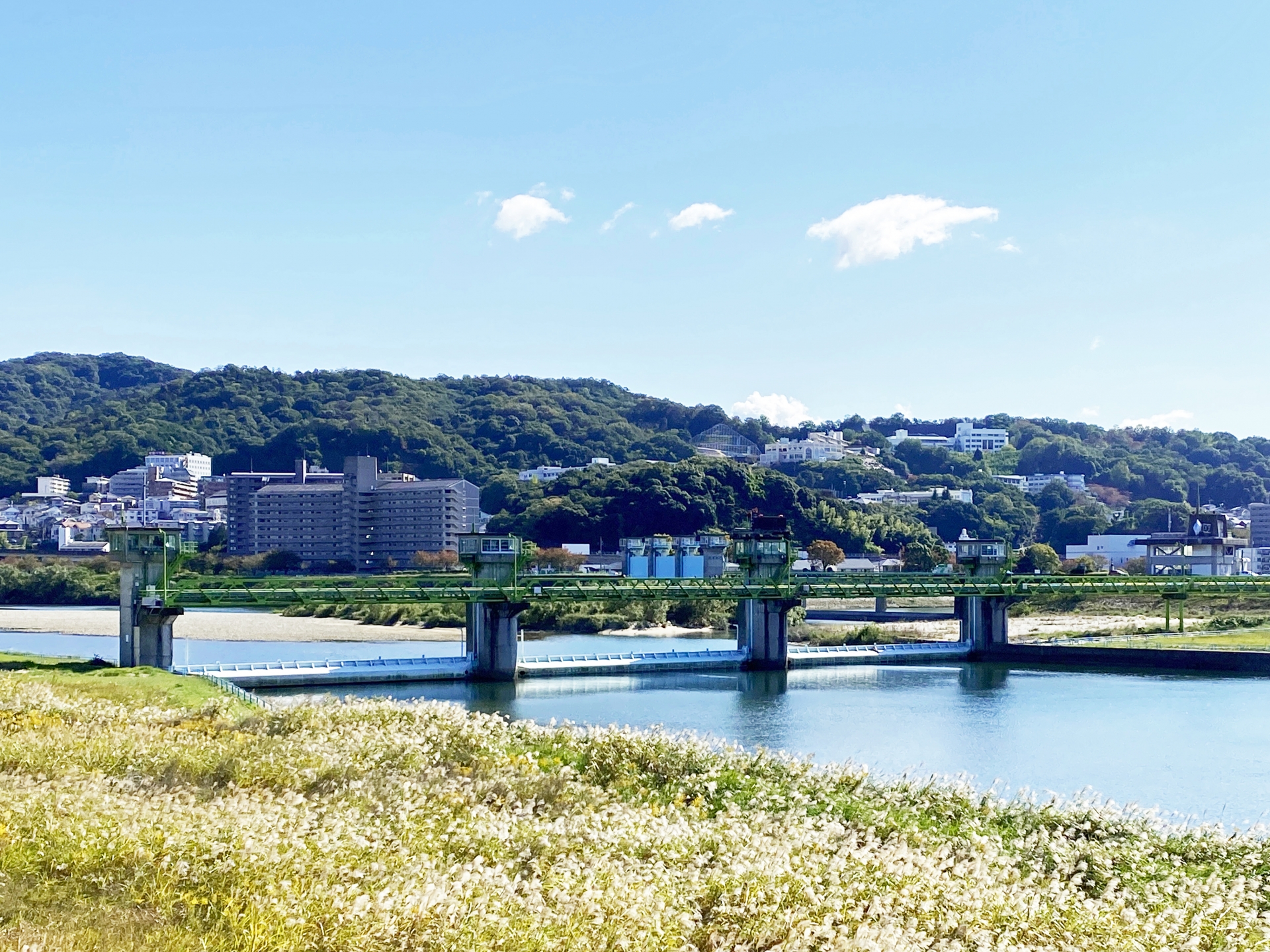 太田川河川敷