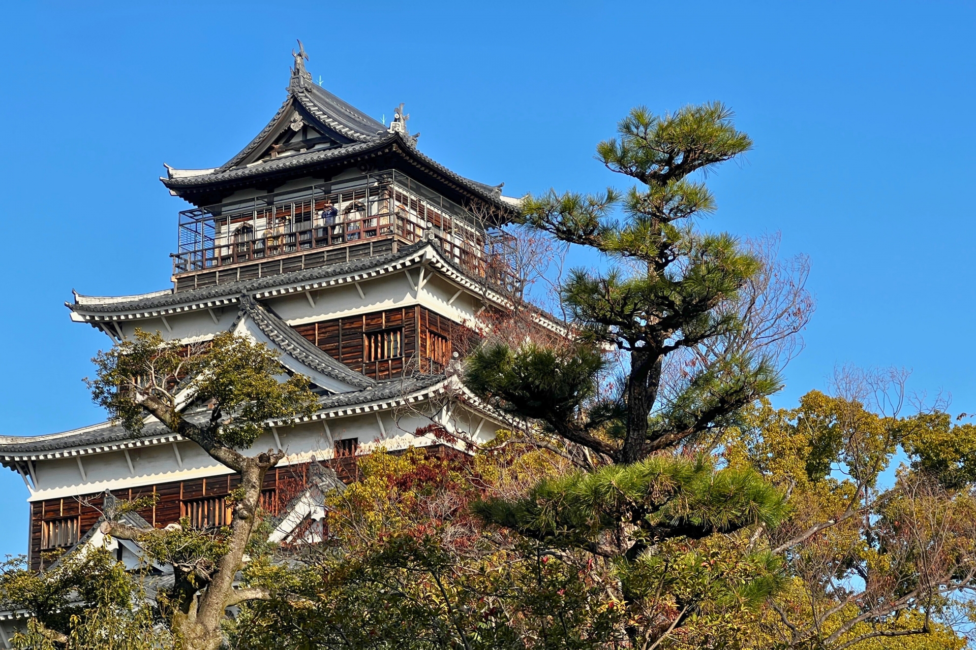 広島城・縮景園周辺