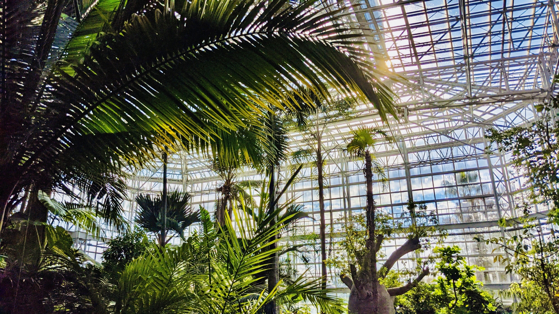 広島市植物公園